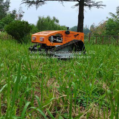 Slope Grass Cutter China Manufacturer Factory Supplier Wholesaler photo-2