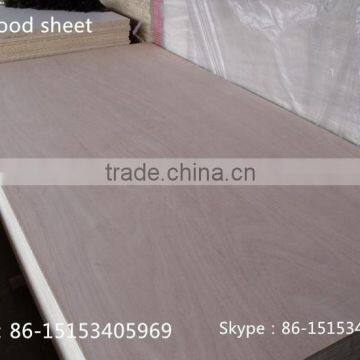 China plywood for packing / plywood for furniture