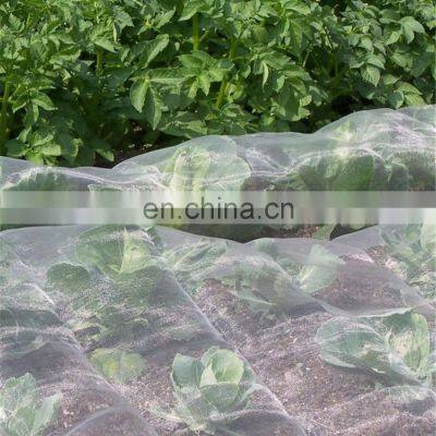 Transparent 40x25 50x25 Greenhouse Insect Net Anti Insect Net photo-5