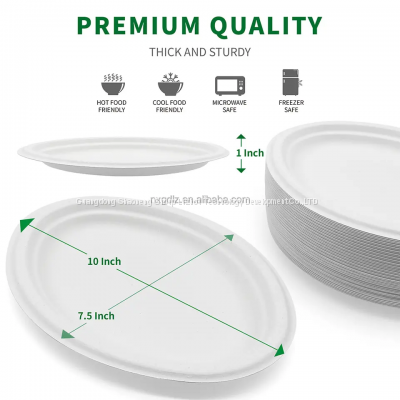 10 Inch Sturdy Greaseproof Microwavable Compostable Disposable Bamboo Fiber Restaurant Party Paper Plate Biodegradable photo-2