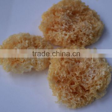 Dried White Fungus Mushroom