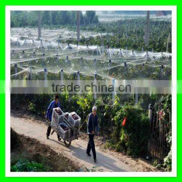 Reused Virgin HDPE Plastic Anti Bird Net/fabric Wire Bird Mesh photo-4