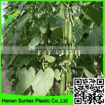 Heavy Duty Long-lasting Flexible Trellis Netting Growing Cucumbers Support Net