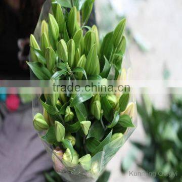 2016 High quality cheap flowers pink lily with fast delivery