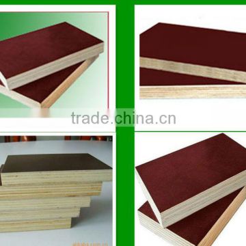 Plywood Panel Formwork