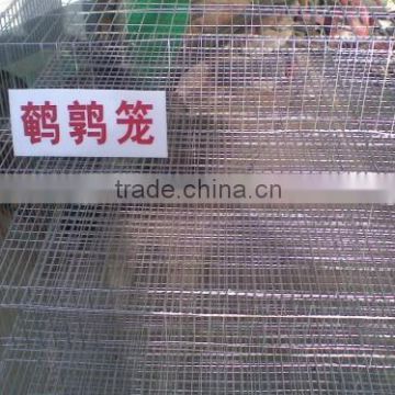 Hot sale metal quail cages for sale