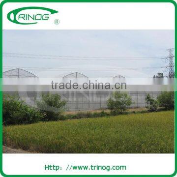 EU model low cost agricultural greenhouse for sale