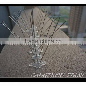 50cm high quality stainless steel bird spike /stainless steel bird spikes bird/ china alibaba