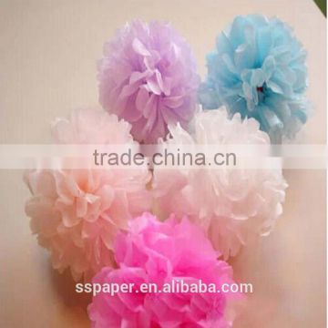 Tissue Paper Pom Poms 10pcs/lot DIY 10"(25 CM) Decorative Flower paper Ball for Baby Shower Birthday Wedding Party Decorations