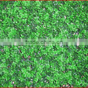 2013 China Artificial hedges garden fence gardening hot sales plastic artificial hedge fence