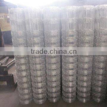 Hinge joint fence/galvanized knotted wire mesh fence/cattle fence(manufacture)