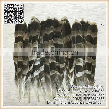 Bird Feather Big Eagle Tip Feather For Indian Headdress