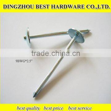 Roofing Umbrella Nail photo-2