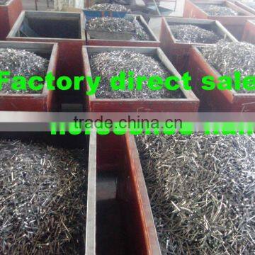 Chinese 100% factory direct wholesales steel horse shoe nails