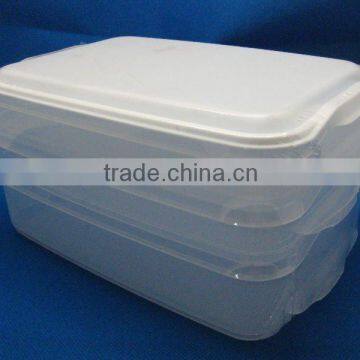 crisper .plastic crisper .Food Storage Containers