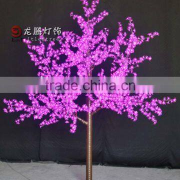 High quality of Light up Bauhinia cherry trees
