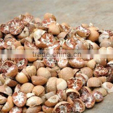 ORGANIC BETEL NUTS FROM VIETNAM FOR CHINA