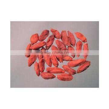 Dried Goji Berry/Medlar/Chinese Wolfberry High Quality From China