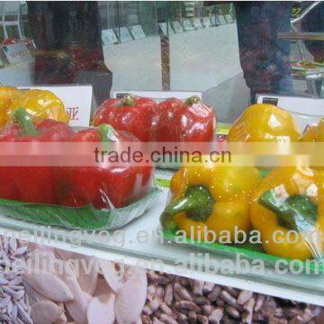 Organic bulk bell pepper(Own Plant )