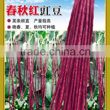 High quality red long bean seeds cowpea seeds for cultivation-Chun qiu 22