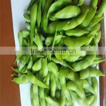 IQF Frozen Edamame Frozen Green Soybeans