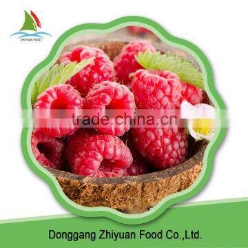 China IQF Frozen Bulk Red And Black Raspberry photo-5