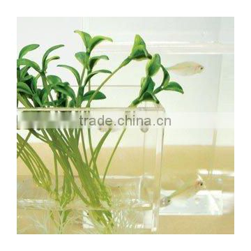 transparent acrylic vase