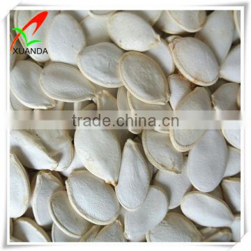 snow white all kinds pumpkin seeds