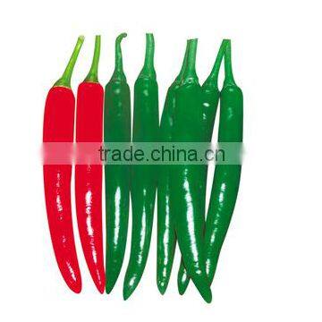 Line Hot Pepper/Chilli Seed For Sale FST Bright Red No.1