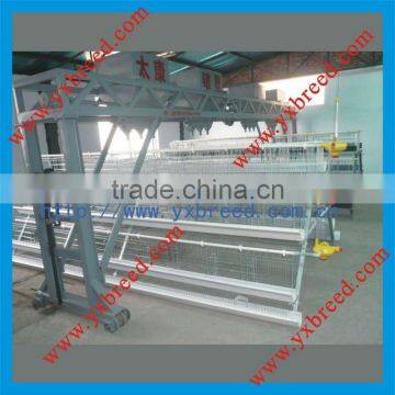 quail layer cages