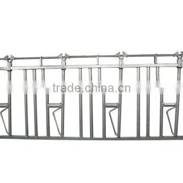 Hot Sale Livestock Equipment for Cattle