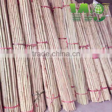 WY- 084 Wolesale Farming Bamboo Poles With High Quality photo-3