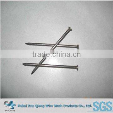 common wood nails/wood nails/wire nails hot sale