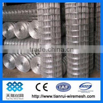 weld wire mesh/welded wire mesh fence