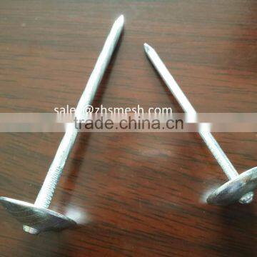umbrella roofing nails factory