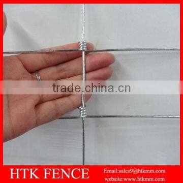 High Tensile 6ft Sheep Wire Mesh Fence (Hot Sale) photo-3