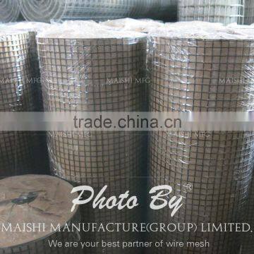50x50mm Galvanized Steel Wire Mesh Panels photo-3