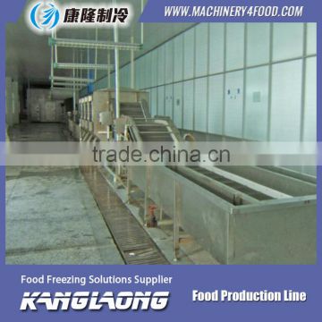 China Supplier vegetablefruit drying production line plant