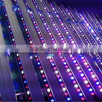 Wholesale abibaba 54x1W LED grow bar light for vertical farming