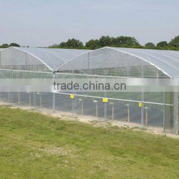 Cheap Easily Inatalled Plastic Film Vegetable Greenhouse photo-5