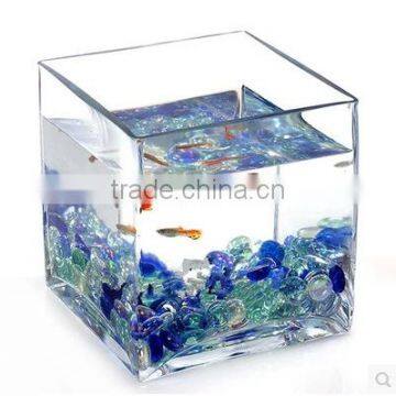 Home Table Decoration Square Clear Glass Plant Hydroponic Container Flower Vases photo-4