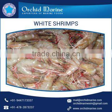 Best Quality Cost Effective White Shrimps of Natural Taste at Low Price photo-4