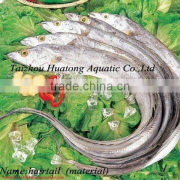 frozen ribbon fish wholesale frozen seafood