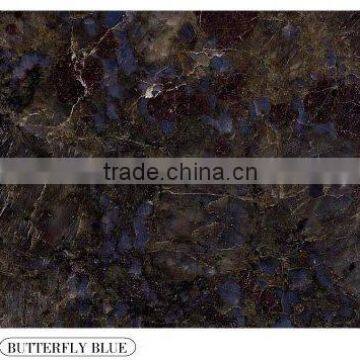 Butterfly blue granite flooring tile