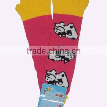 five toe sock