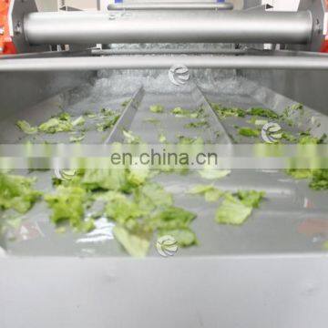 Industrial Automatic Vortex Fruit and Vegetable Washing Machine photo-7