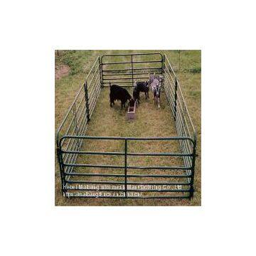 Cattle fence