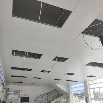 AA1050 Engraved Perforated Ceiling Sheets For Building Ceiling Decoration photo-2