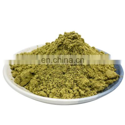 Natural Ginkgo Biloba Leaf Extract Powder