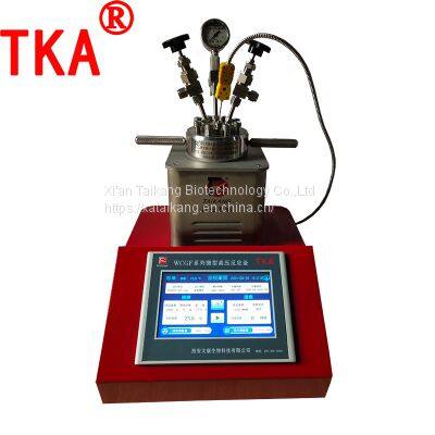 100ml Teflon Lined Stainless Steel Autoclave High Pressure Reactor